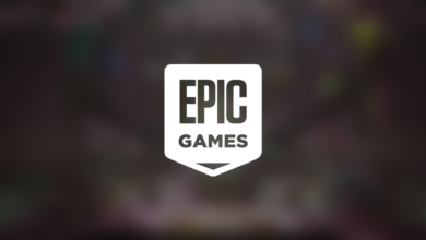 Epic Games Store #27